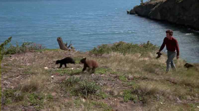 LIFE WITH THE CUBS