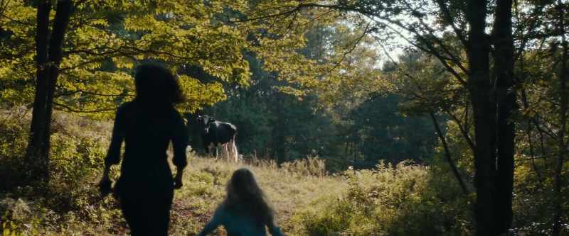 Life would open its arms and he would carry all before him