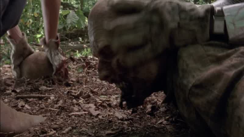 Lift its head