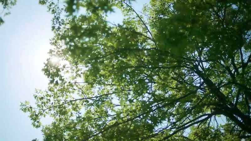 [light ambient music]