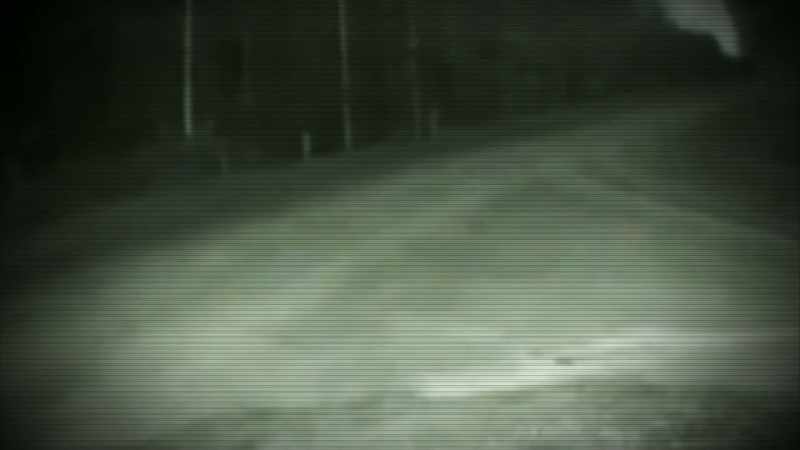 LIGHT FROM A SECURITY CAMERA REVEALS A STRANGE INVADER