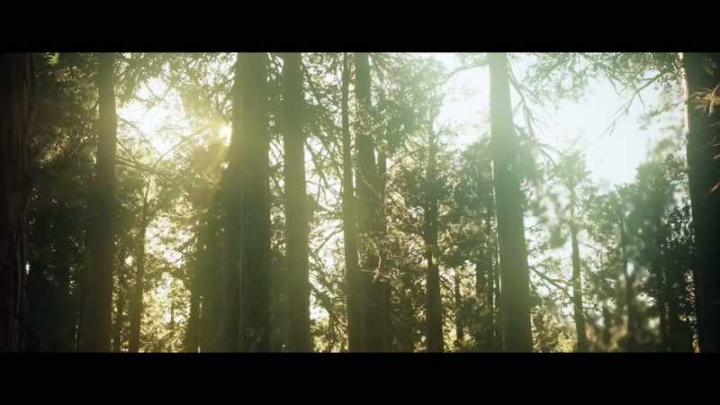 Light from the sun's beams