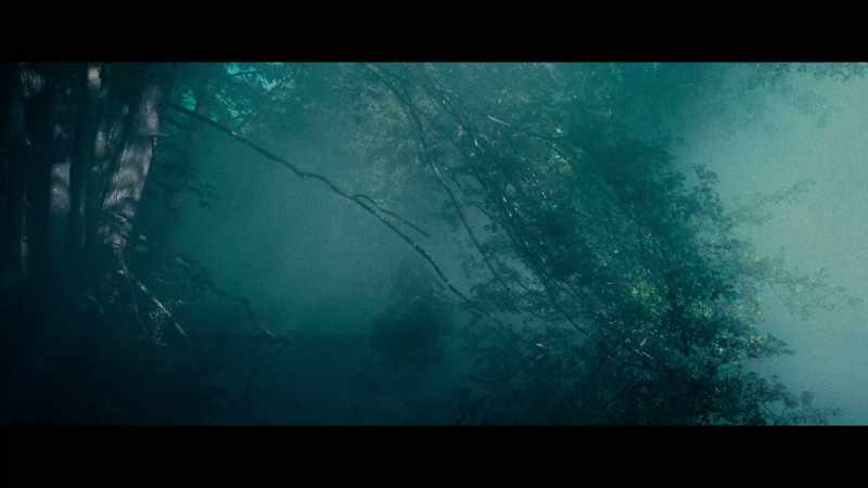 (light music playing) - (ambient nature sounds)