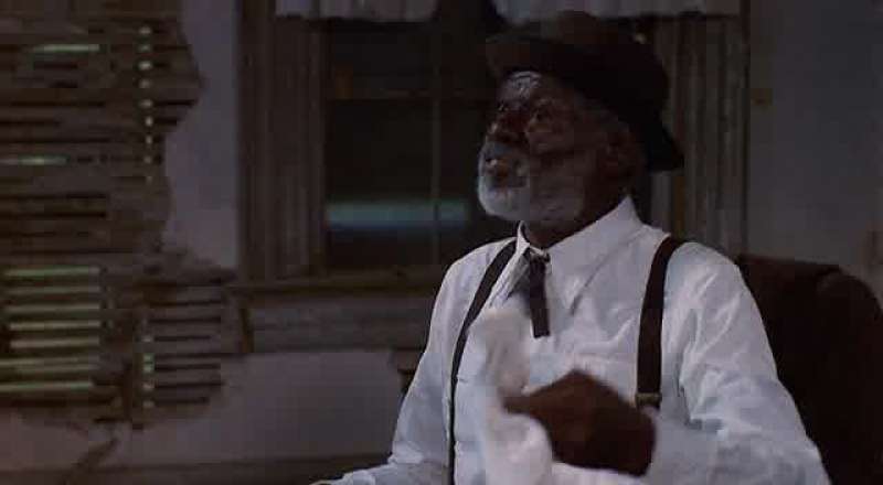 Lightning Boy and Blind Dog