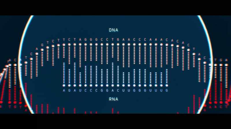 Like DNA, it has four letters