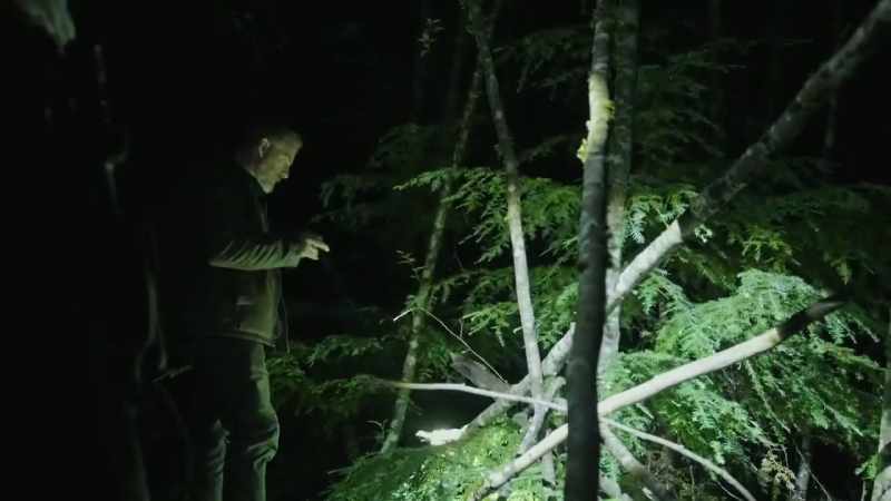 Like, if this fell this way, if this was tree fall