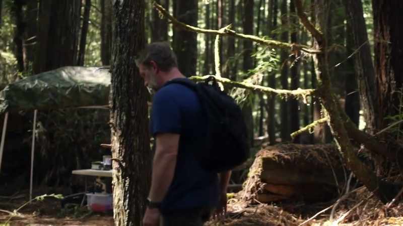 Like, right in here. It smells like... Like urine