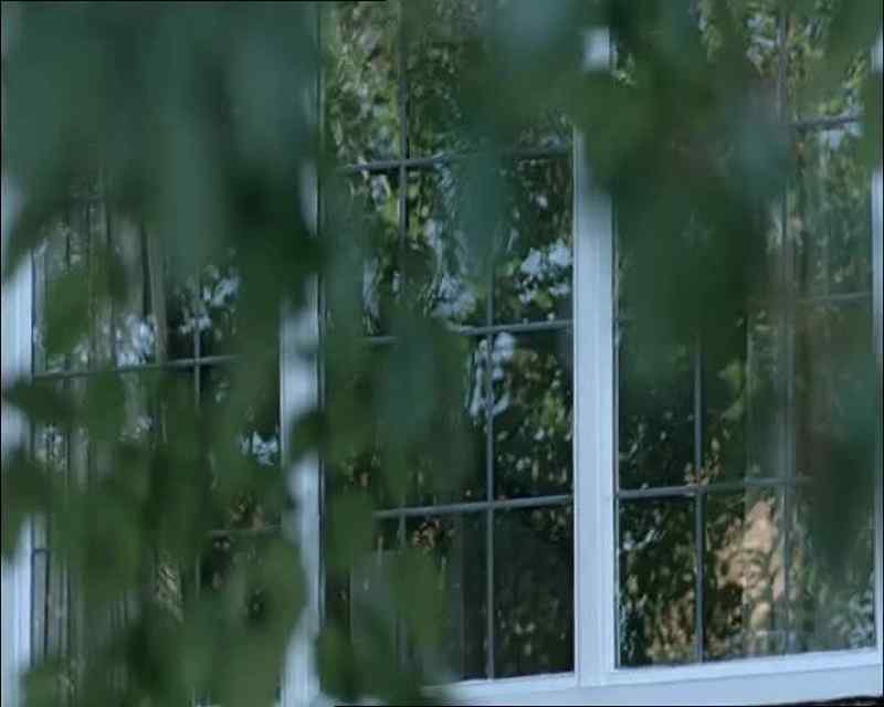 Like these? - They weren't there