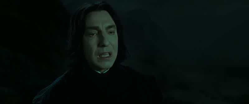 LILY:Harry