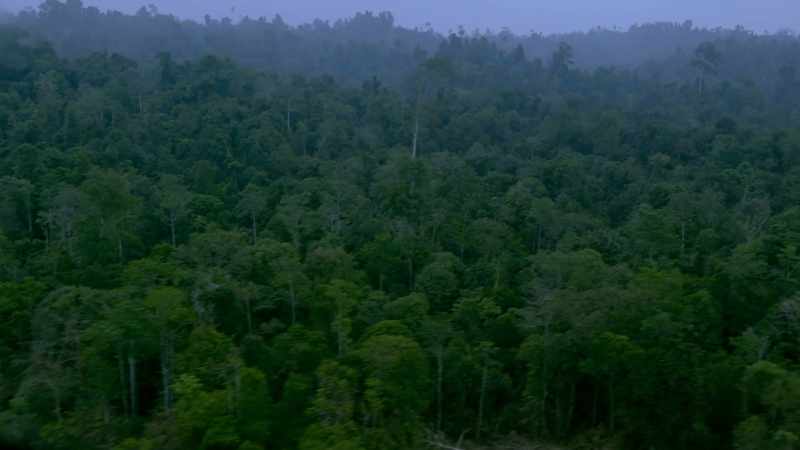 LINDSEY ALLEN: WE'RE TAKING AWAY THE ECOSYSTEMS THAT