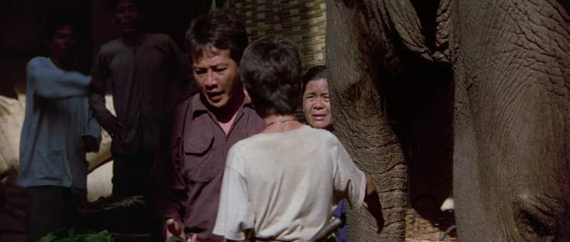 Linh we need to turn the elephant back this way