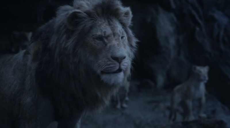 (LIONS ROAR)