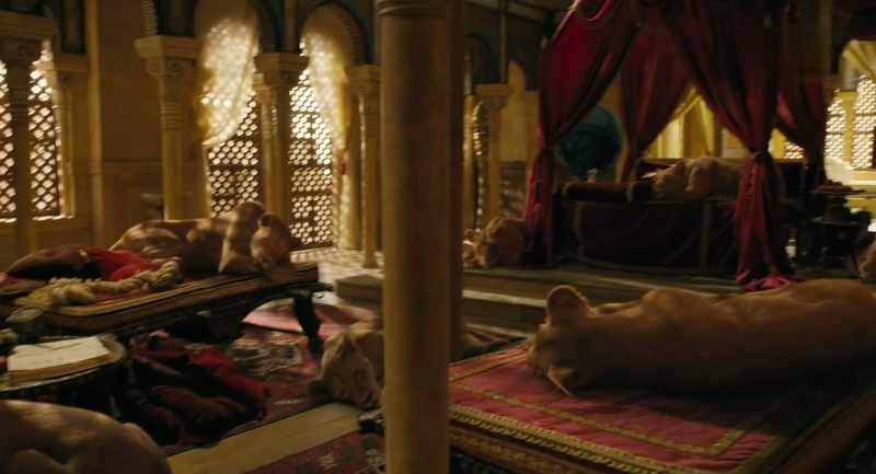 (lions snoring)