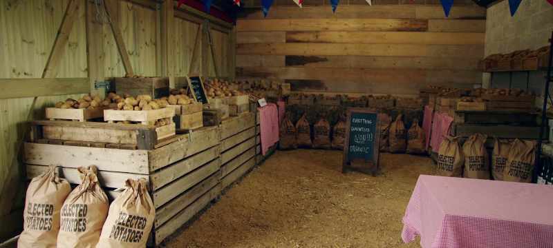 [Lisa] Can I interest you in anything? Potatoes maybe?