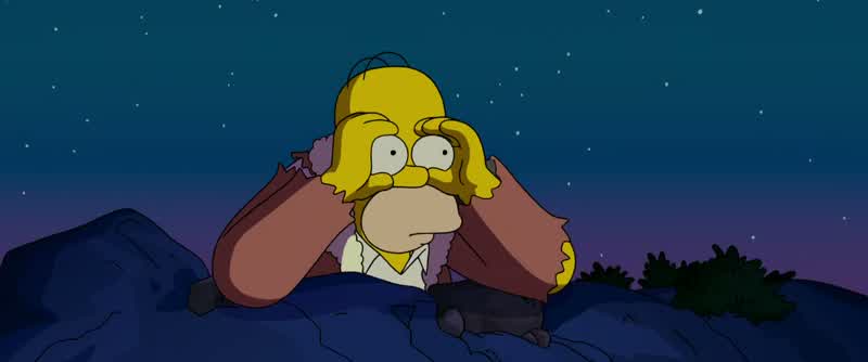 Lisa! Knock off that racket. Lisa! They captured my family. What do I do? What do I do?