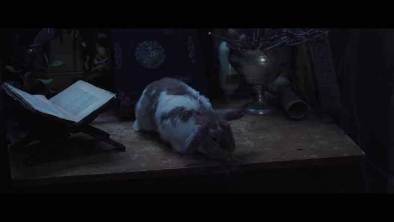 Listen, I need you... Hey, Wanda