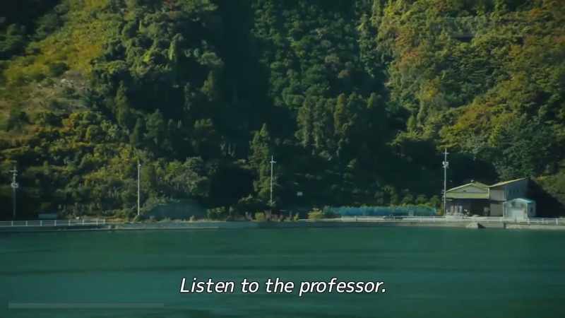 Listen to the professor