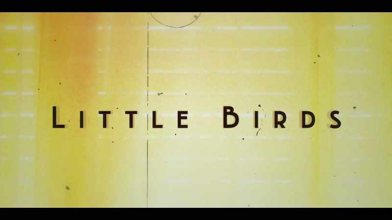 �� Little birds ♪