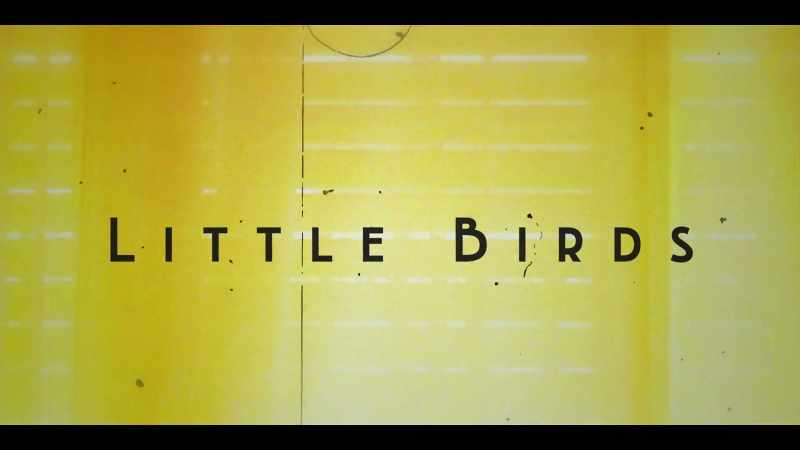�� Little birds ♪