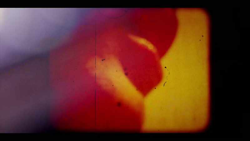 �� Little birds ♪