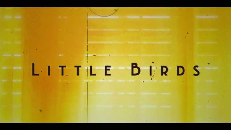 �� Little birds ♪