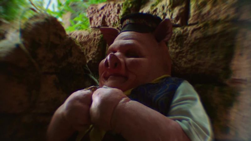 Little pig
