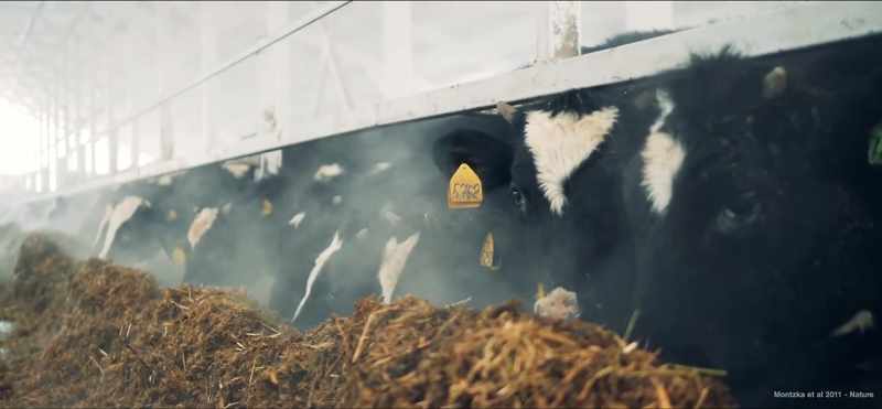 Livestock are the largest source of methane that we can control