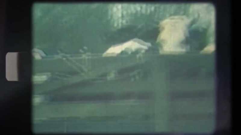 Livestock and wildlife were also highly affected