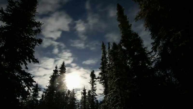 Living here in the bush in Alaska
