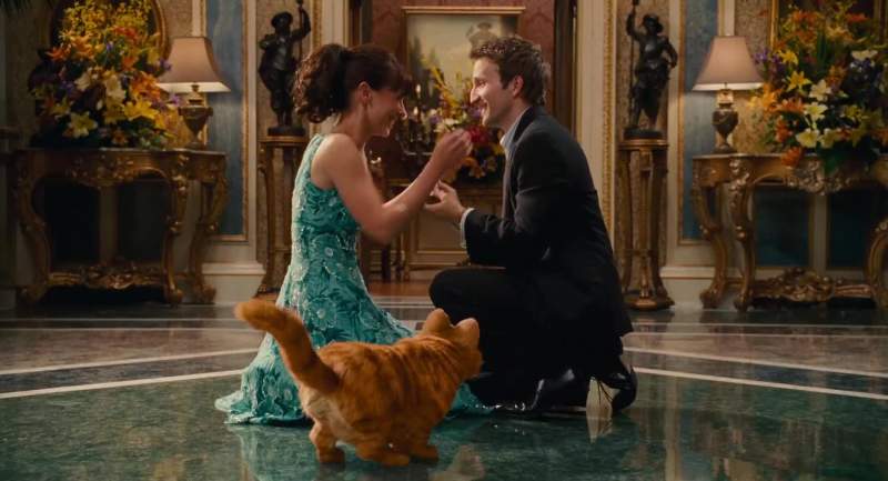 Liz will you marry me