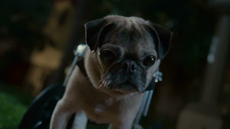 Lloyd what am I gonna doKill the bitch