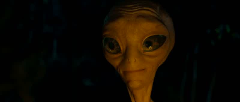 I'm hungry We should cook up some sausagesDo we have any sausages UhWhat do you mean by that NoWhy do you guys hate me Can we cook up some sausagesOoh I have wasps in my brainShe'll be fine That
