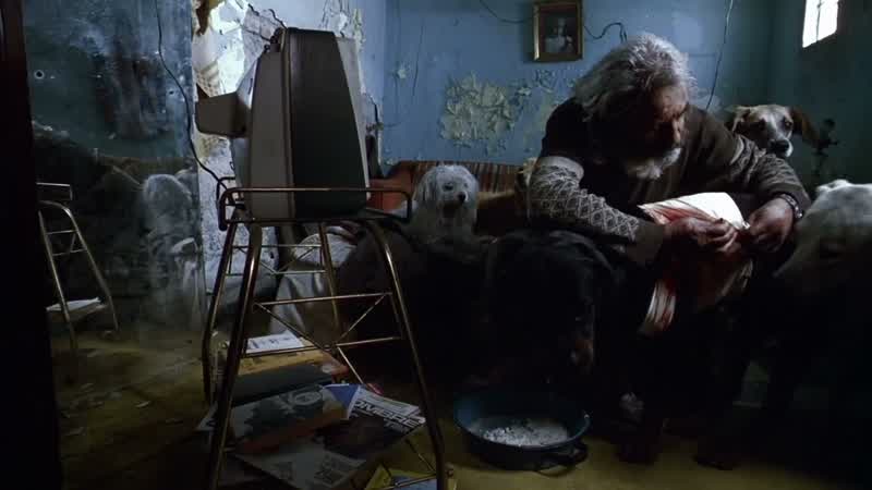 Lobo, quítate