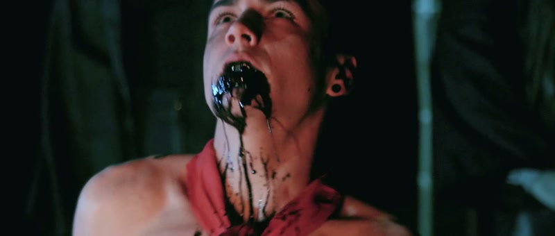 (Lola roars)