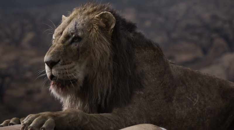 Long ago you chose Mufasa over me