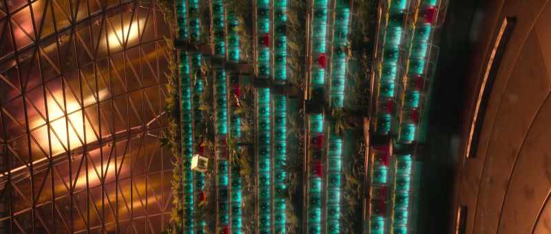 Long-distance space travel will always be risky