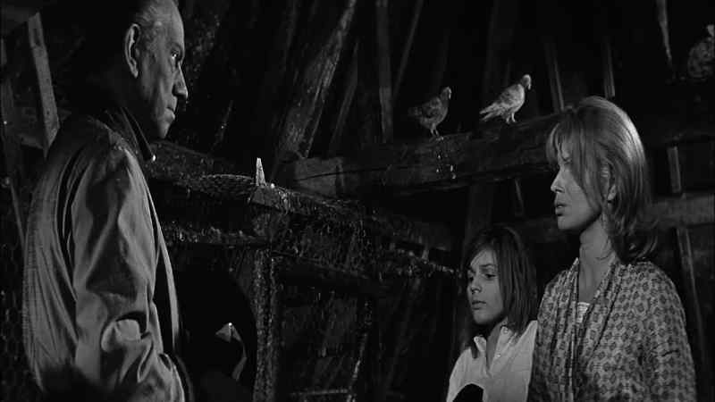 Look, all she wants is an old moth-eaten suit