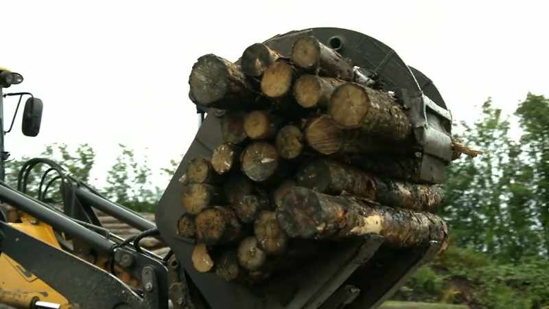 Look at how many logs the loader can carry!