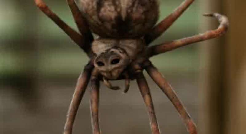 Look at her I mean don't you think she's a little