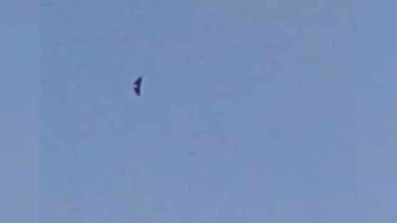 Look at that. - [Ozzy] It's a bird