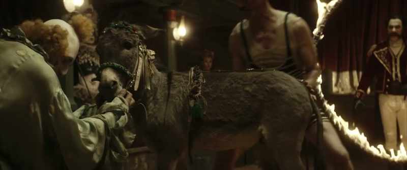 Look at the animal's skill. look at how he pretends to limp