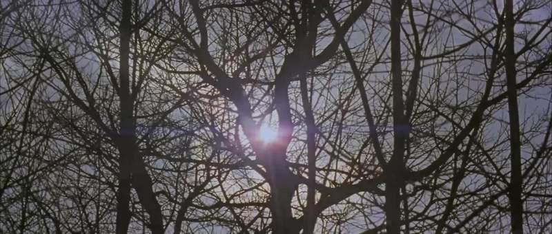 Look at the rays