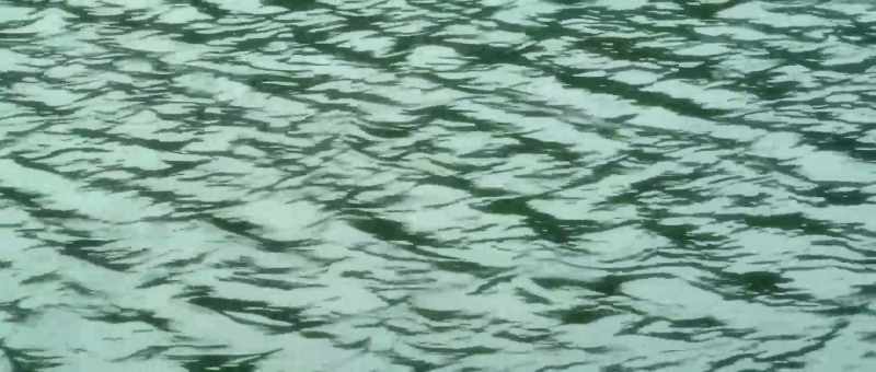 Look at the ripples created by the waves
