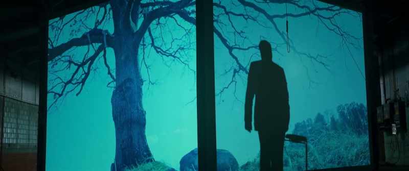 Look at the shadow. Is it me?
