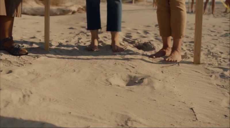 Look at them, making their way to the ocean