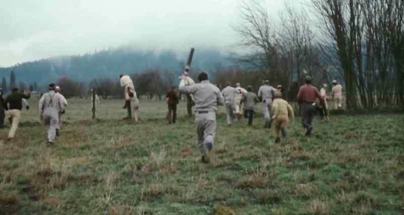 Look at them run