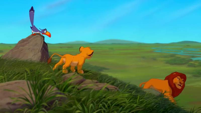Look at them scramble
