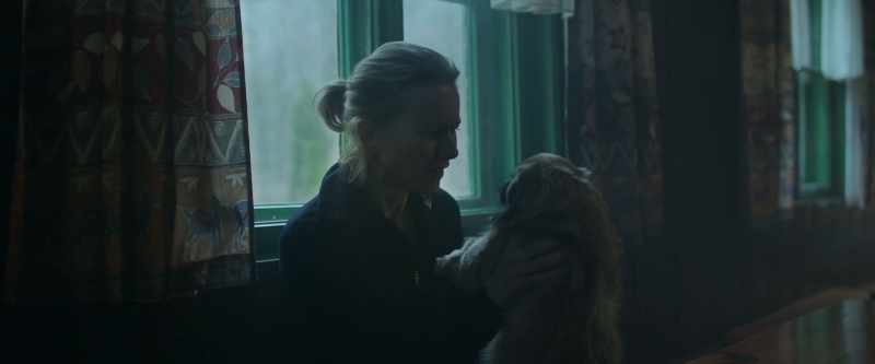 Look at you. -[dog barks]