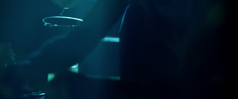 Look at you, you dumb motherfucker!