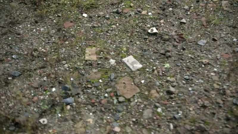 Look closely at the ground beneath your feet
